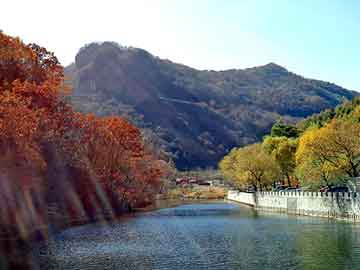 新澳天天开奖资料大全旅游团，小型胶带机